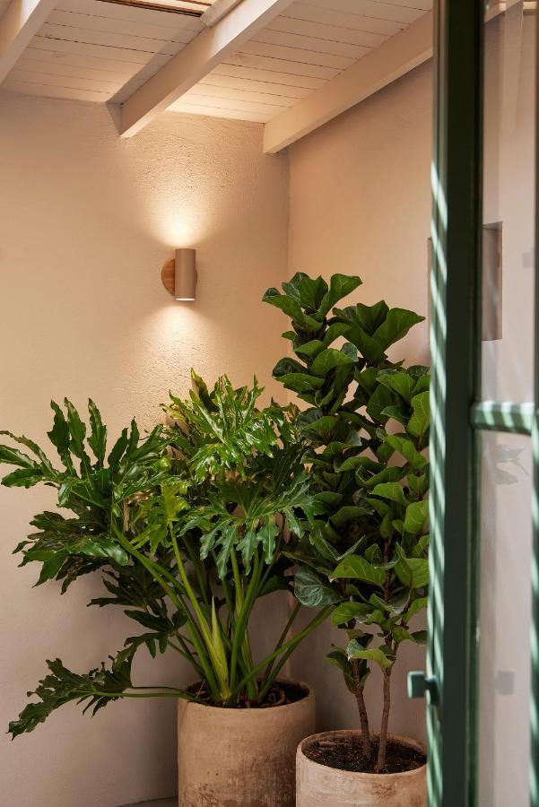 Antipoda Hotel Boutique Medellín Extérieur photo