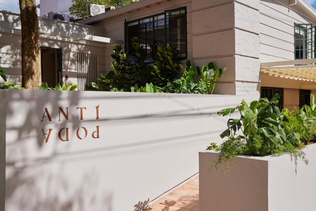 Antipoda Hotel Boutique Medellín Extérieur photo